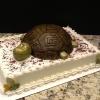 Grooms Cake
Turtle (Serves 40)
Butter Almond Pound Cake